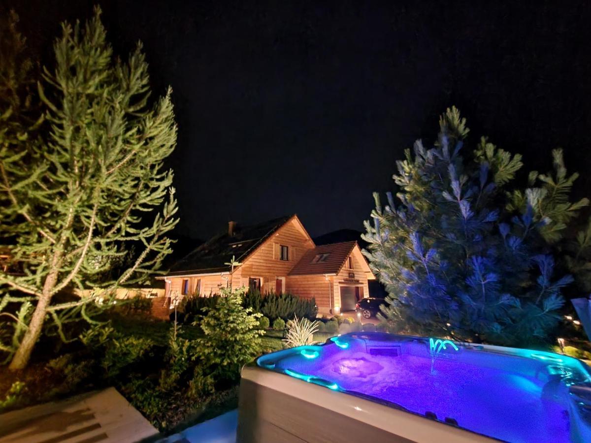 Karkonoski Klimat - apartamenty Milkow  Luaran gambar